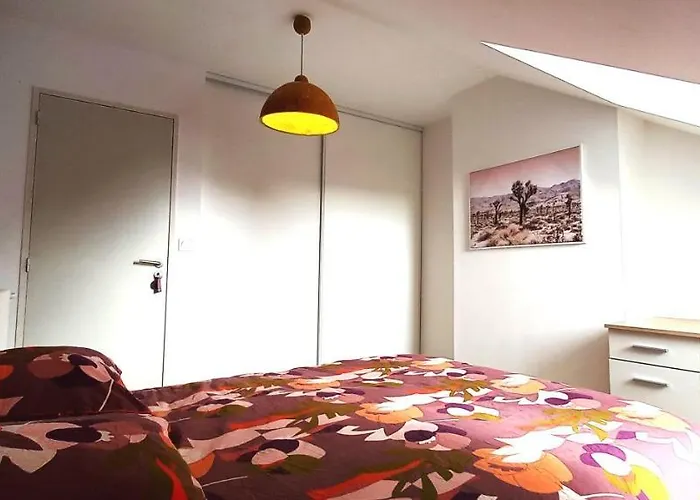 Gasthuis Histoire De Loire - Le Futreau Saumur